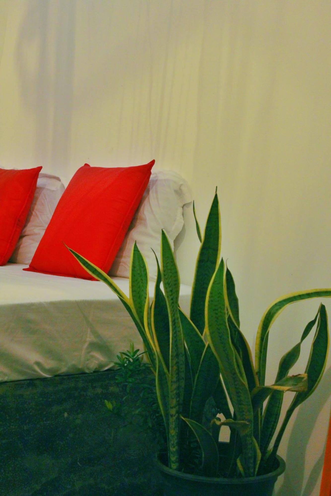 Linu Homestay ディックウェラ エクステリア 写真