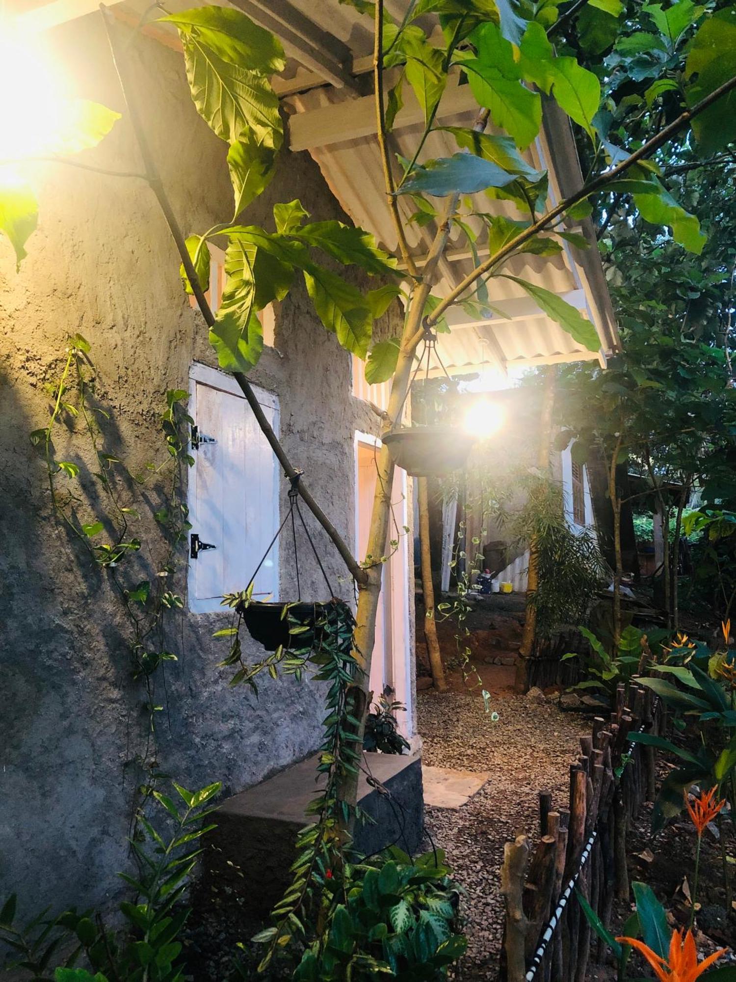 Linu Homestay ディックウェラ エクステリア 写真