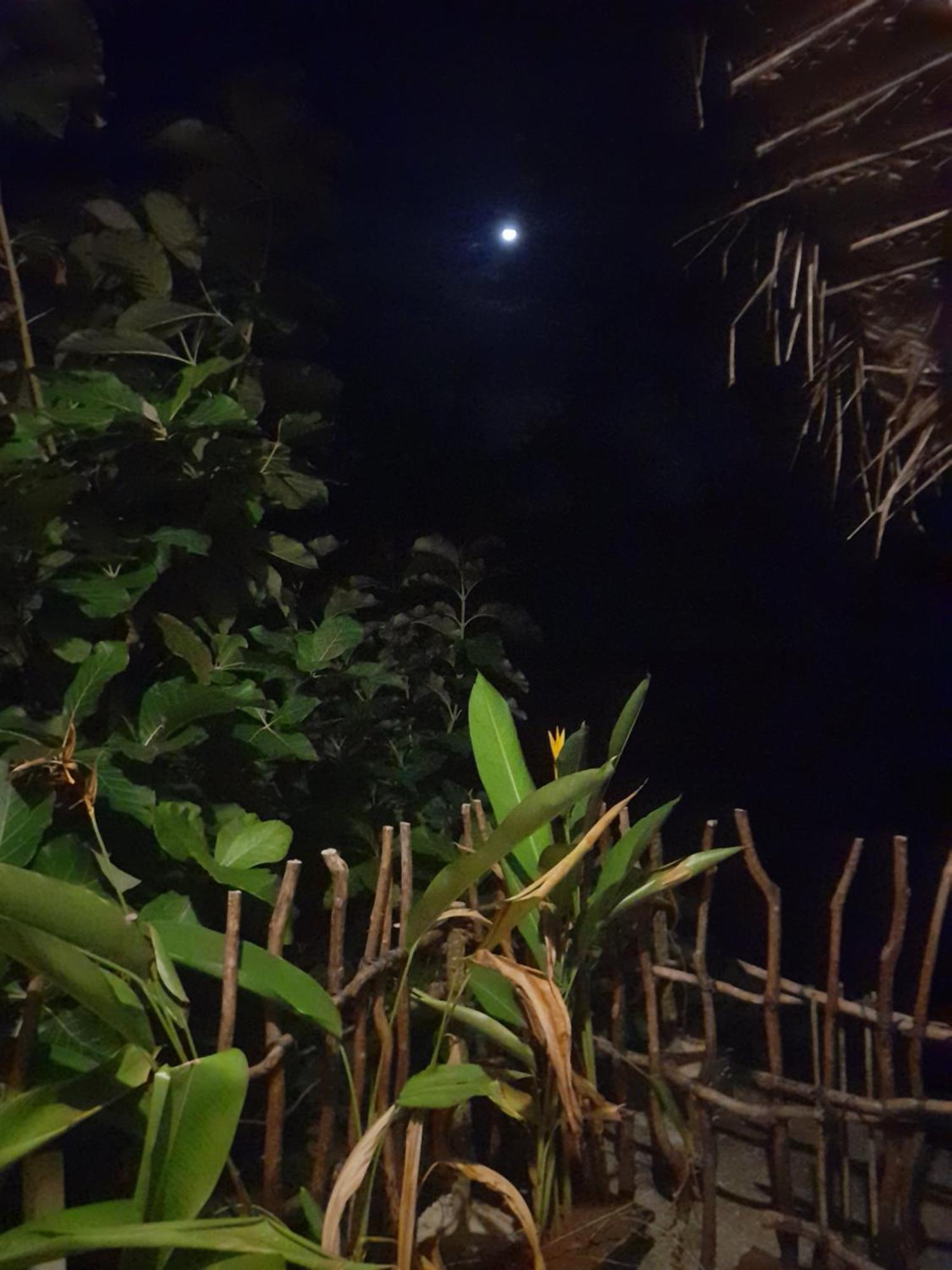 Linu Homestay ディックウェラ 部屋 写真
